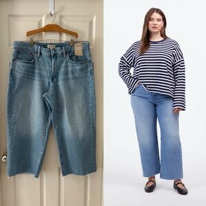 Madewell Light Blue Perfect Vintage Wide-leg Jean // Sz 20W
